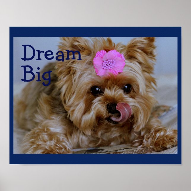 Yorkie Pup with Pink Flower in Hair Poster (Front)
