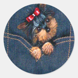 Yorkie Puppy in Pocket Classic Round Sticker