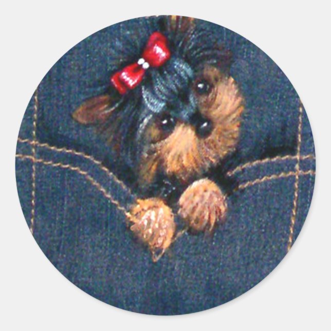 Yorkie Puppy in Pocket Classic Round Sticker (Front)