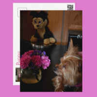 Yorkie Puppy Love Valentine's Day Photographic