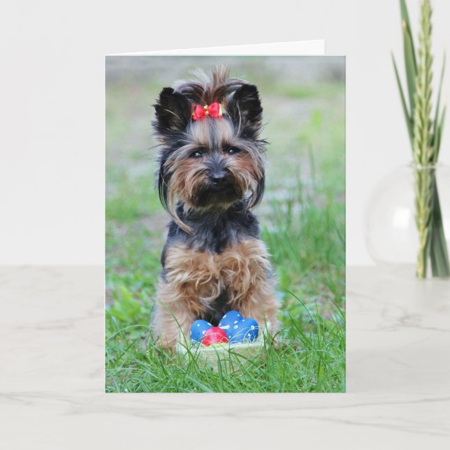 Yorkie Puppy With Easter Eggs Holiday Card (Front)