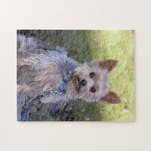 Yorkie Puzzle (Horizontal)