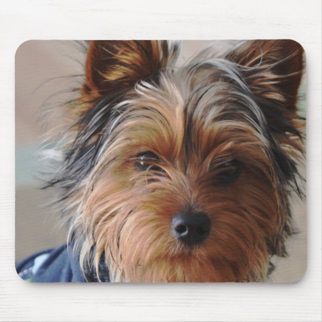 Yorkie Terrier Mouse Pad (Front)