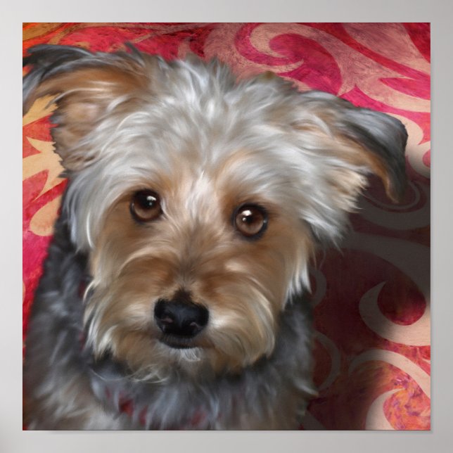 Yorkie Terrier Poster (Front)