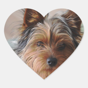 Yorkie Terrier  Sticker