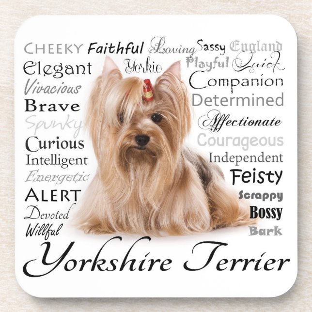 Yorkie Traits Coasters (Front)