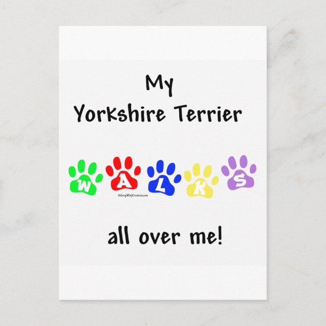 Yorkie Walks All Over You Postcard (Front)
