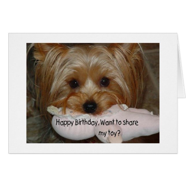 YORKIE WANTS TO SHARE TOY "ON YOUR BIRITHDAY" (Front Horizontal)