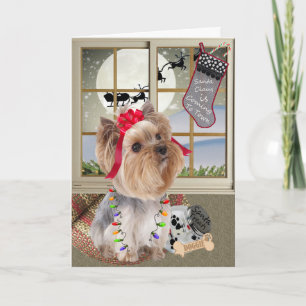 Yorkie Watches for Santa Holiday Card