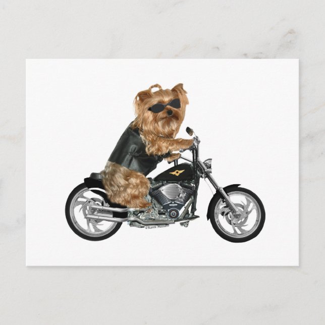 Yorkie Yorkshire Terrier Biker Postcard (Front)