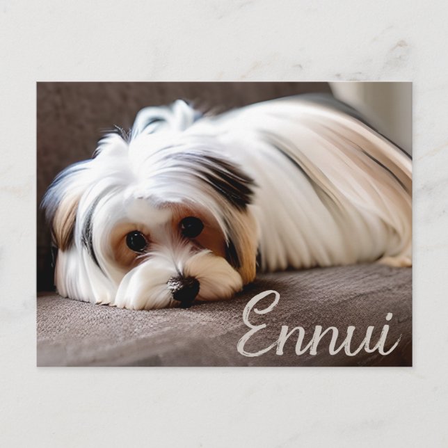 Yorkie, Yorkshire Terrier, Experiencing Ennui Postcard (Front)