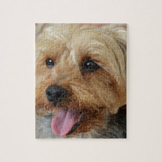 Yorkie Zac Jigsaw Puzzle