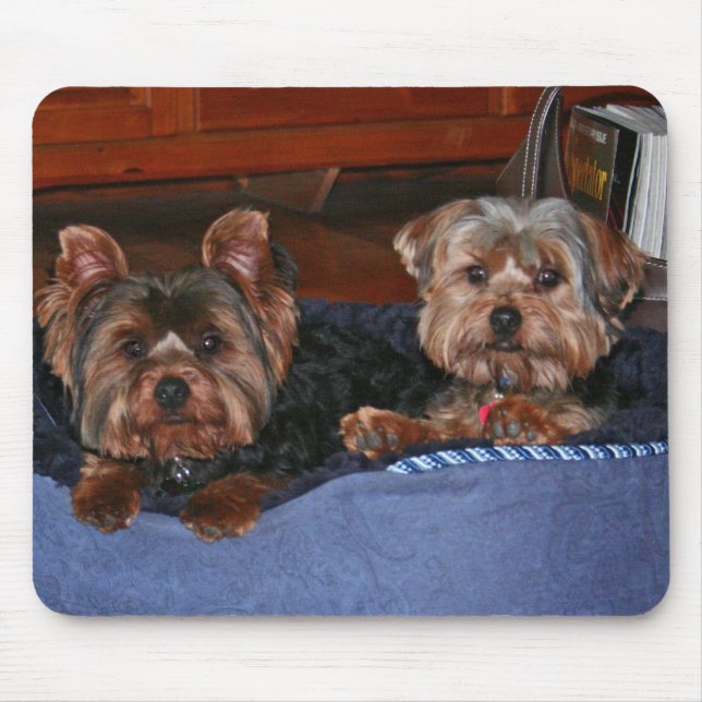 Yorkies - buddies mouse pad (Front)