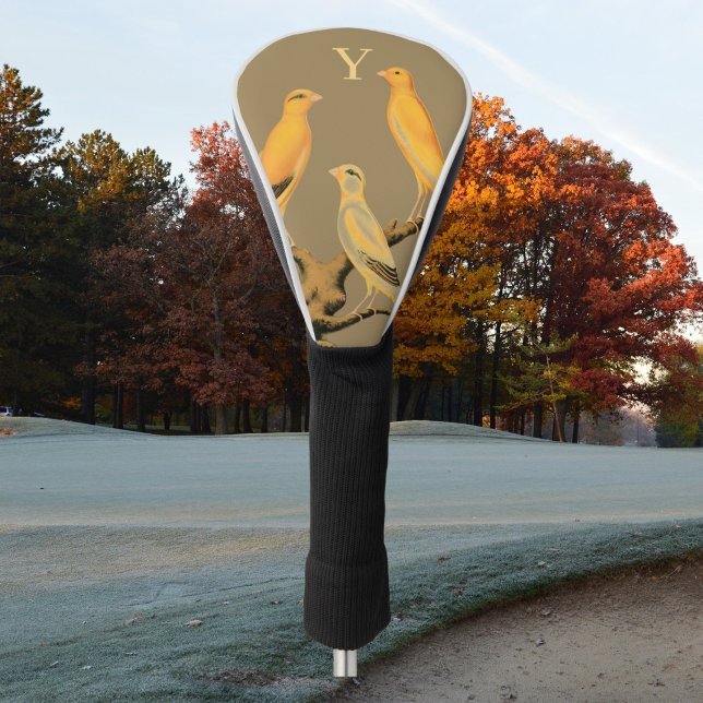  Yorkshire  canary birds - Golf Head Cover (Creator Uploaded)