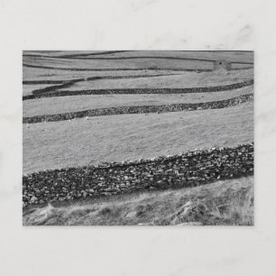 Yorkshire Dales Postcard