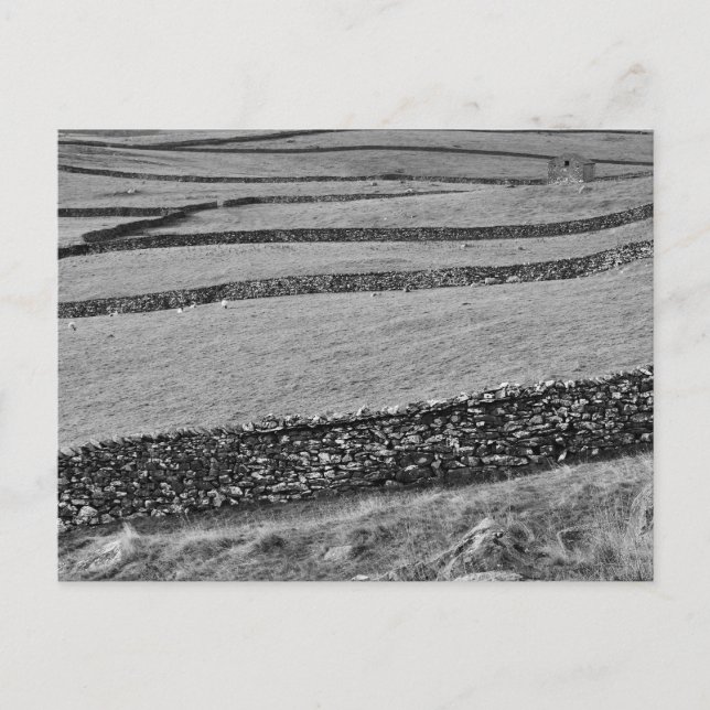 Yorkshire Dales Postcard (Front)