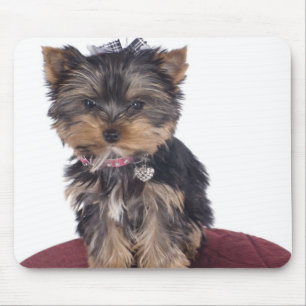 yorkshire mouse pad