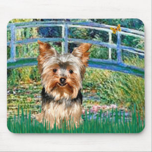 Yorkshire Terrier 17 - Bridge Mouse Pad