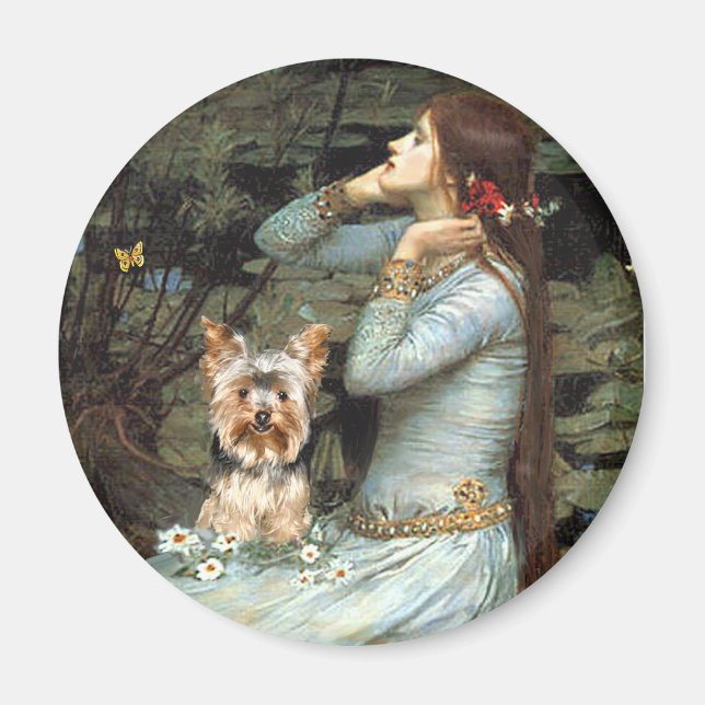 Yorkshire Terrier 17 - Ophelia Seated Magnet (Front)