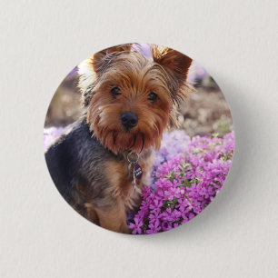 Yorkshire Terrier 6 Cm Round Badge