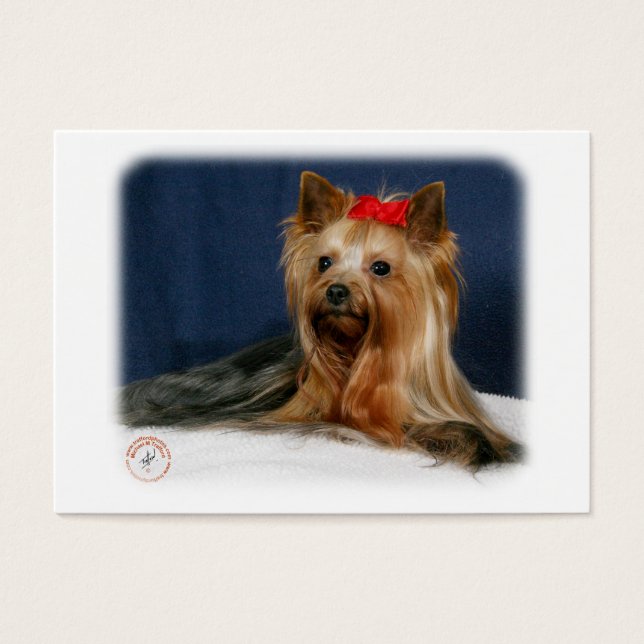 Yorkshire Terrier 9Y110D-064 (Front)