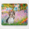 Yorkshire Terrier (Biewer) - Garden