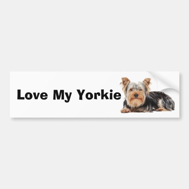 Yorkshire Terrier Bumper Sticker (Front)