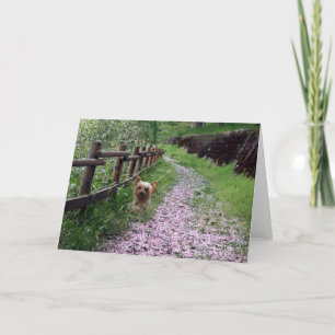 Yorkshire Terrier Card