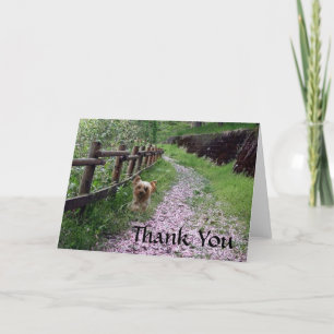 Yorkshire Terrier Card Thank You