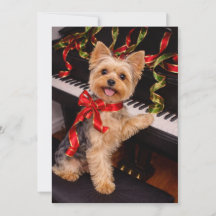 Yorkshire Terrier Christmas Card with Piano