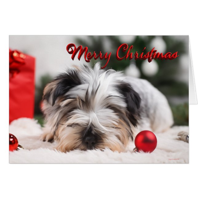 Yorkshire Terrier Cute Merry Christmas  (Front Horizontal)