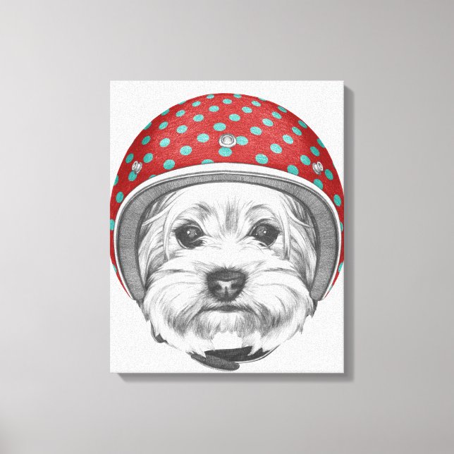 Yorkshire Terrier Daredevil Canvas Print (Front)