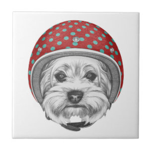Yorkshire Terrier Daredevil Tile