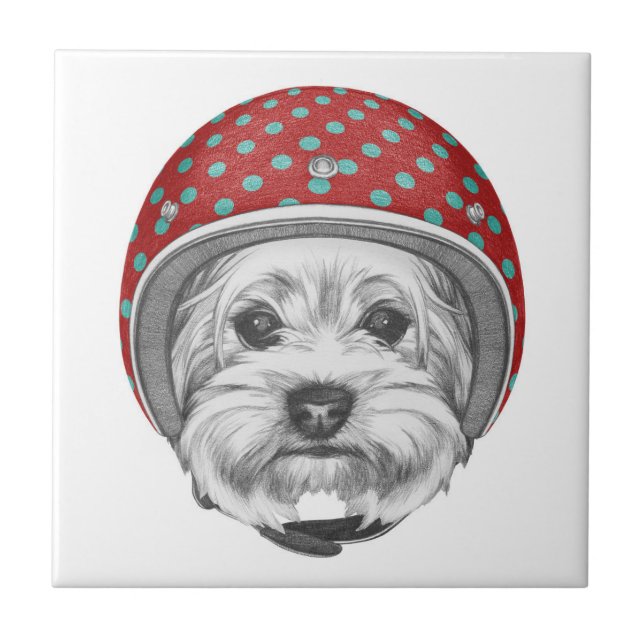Yorkshire Terrier Daredevil Tile (Front)