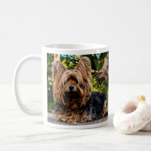 Yorkshire Terrier Dog Coffee Mug