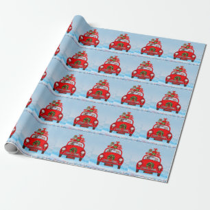 Yorkshire Terrier Dog In Car With Santa Claus Wrapping Paper
