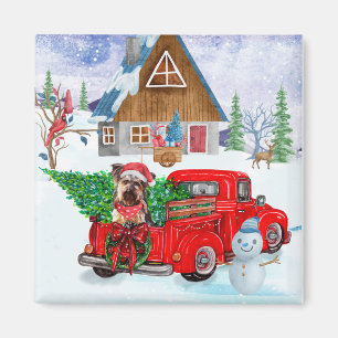 Yorkshire Terrier Dog In Christmas Delivery Truck Magnet