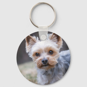 Yorkshire terrier, Dog, Pet Key Ring