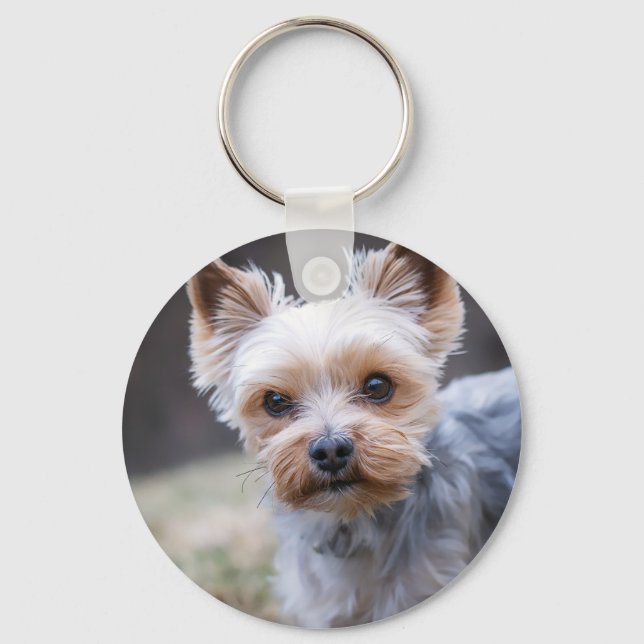 Yorkshire terrier, Dog, Pet Key Ring (Front)
