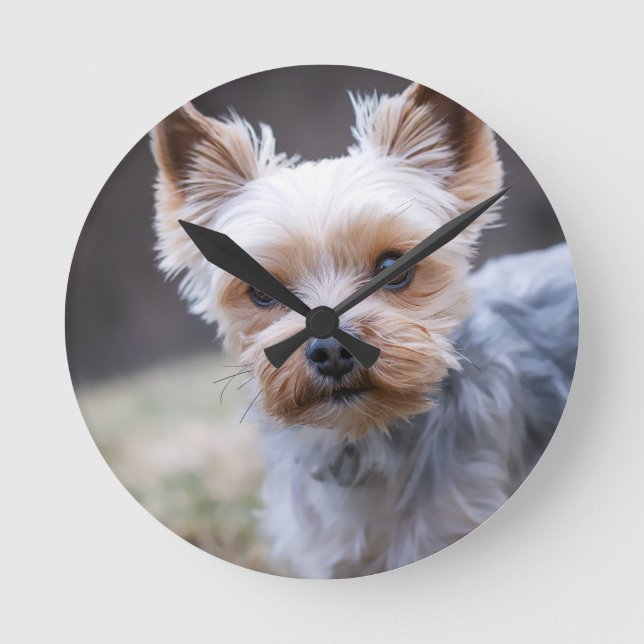 Yorkshire terrier, Dog, Pet Round Clock (Front)