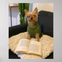 Yorkshire Terrier Dog Poster