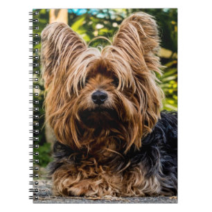 Yorkshire Terrier Dog Spiral Notebook