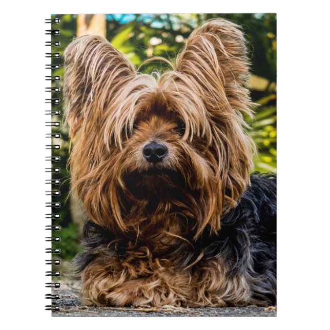 Yorkshire Terrier Dog Spiral Notebook (Front)
