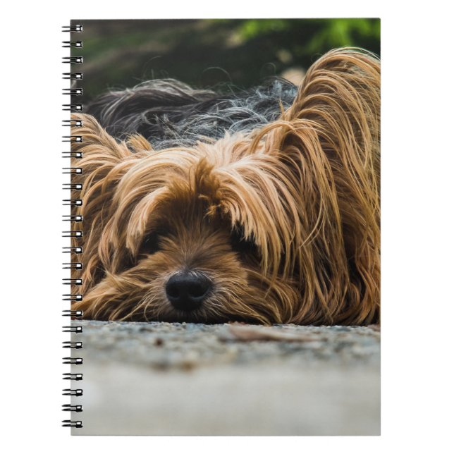 Yorkshire Terrier Dog Spiral Notebook (Front)