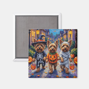 Yorkshire Terrier Dogs in Halloween Costumes Magnet
