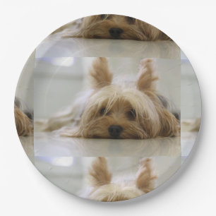 Yorkshire-terrier flat.png paper plate