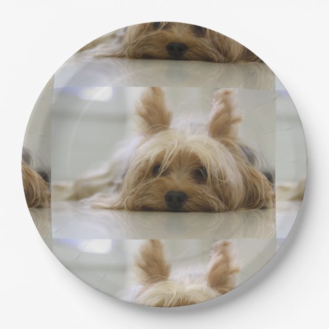 Yorkshire-terrier flat.png paper plate (Front)