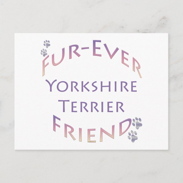 Yorkshire Terrier Furever Friend Postcard (Front)