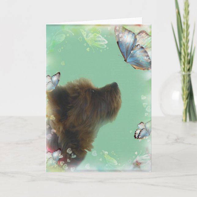 Yorkshire Terrier Greeting Card (Front)