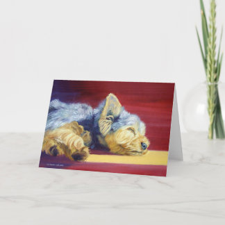 Yorkshire Terrier Greeting Cards